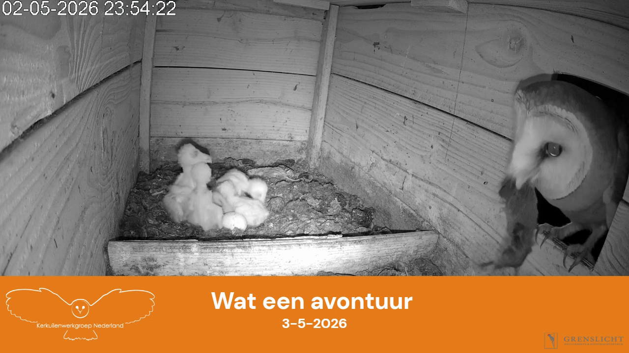 Wat een avontuur!