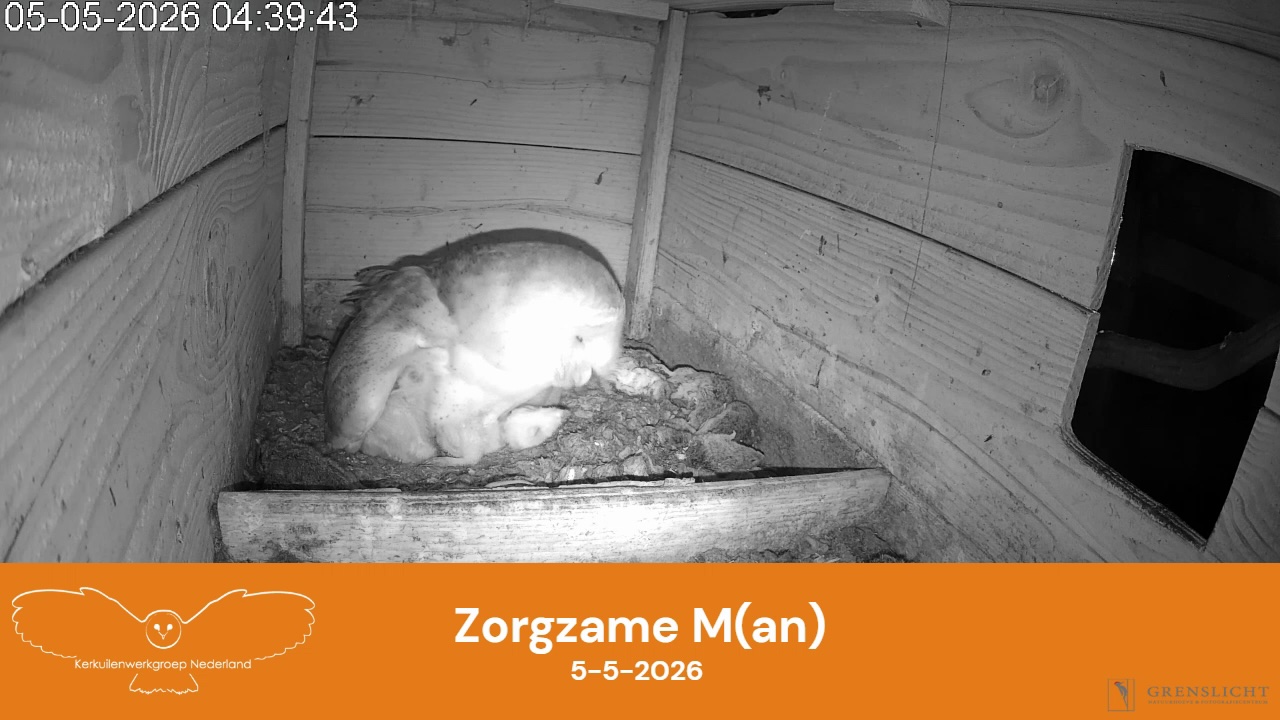 Zorgzame M(an)