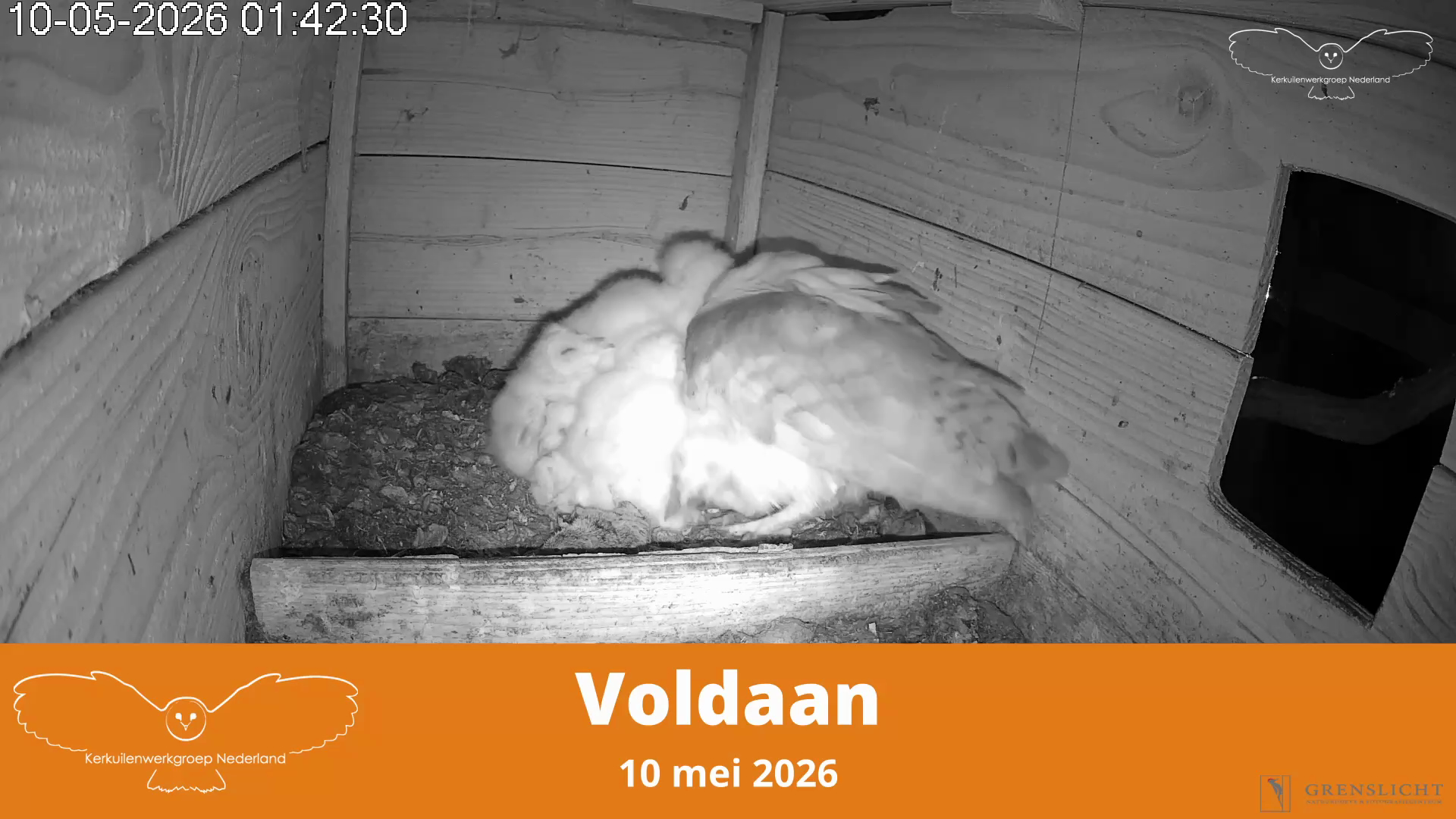 Voldaan