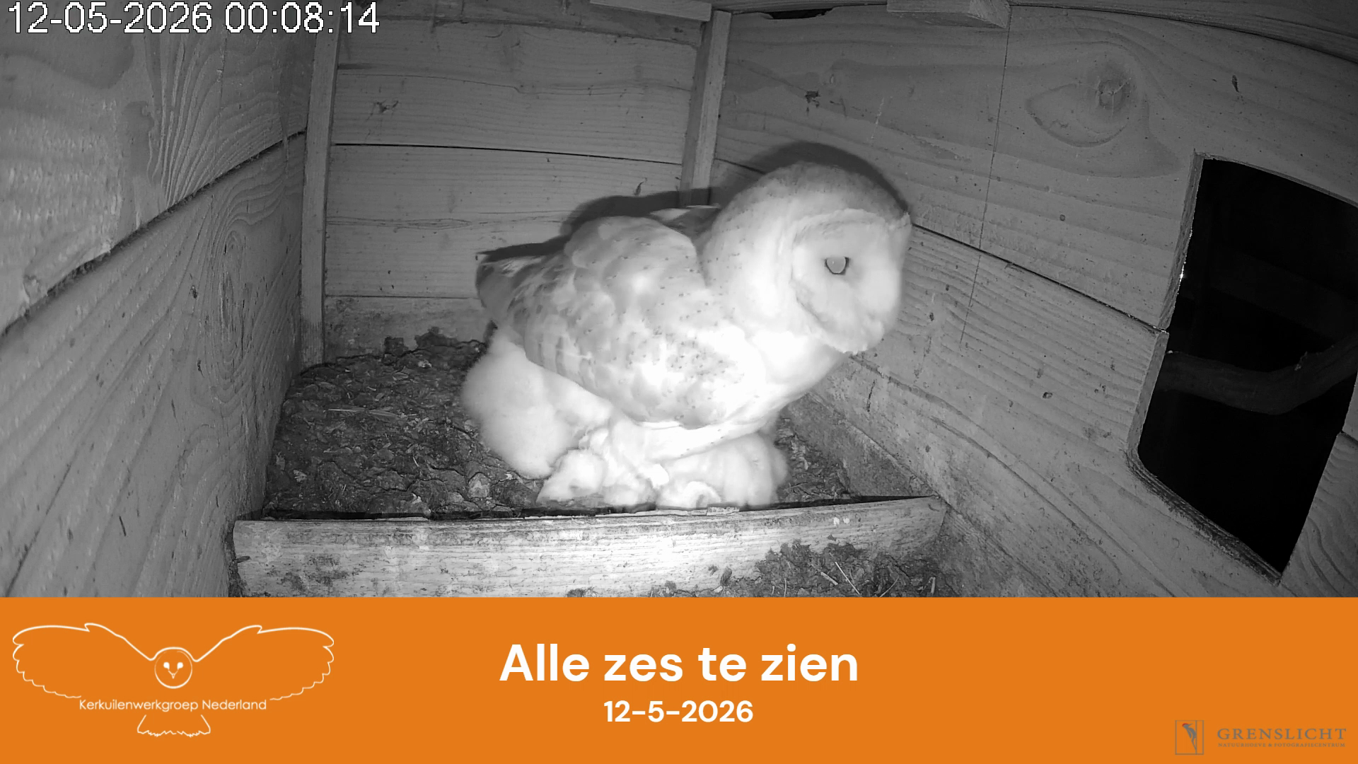 Alle zes te zien