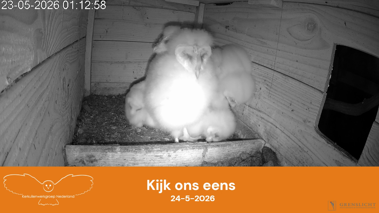 Kijk ons eens!