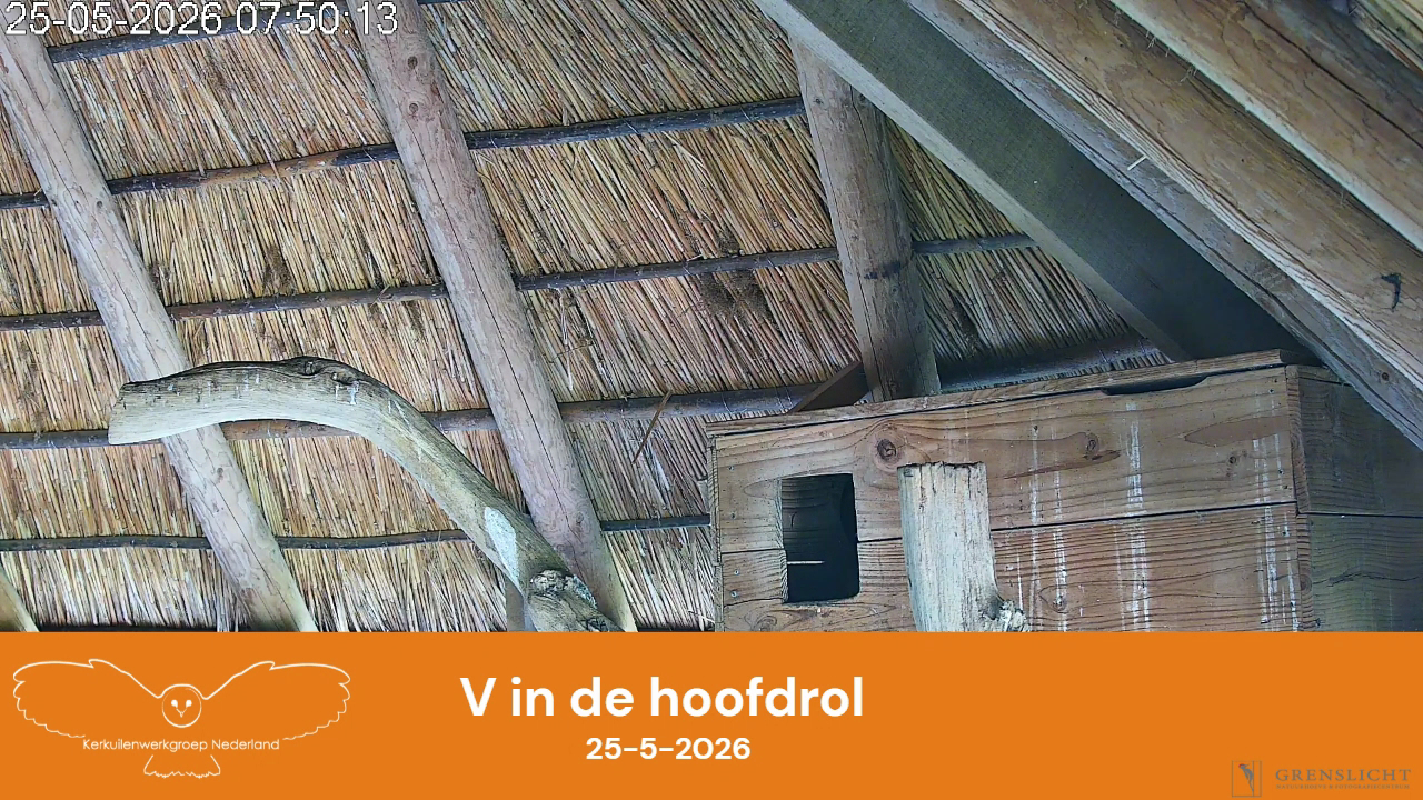 V in de hoofdrol