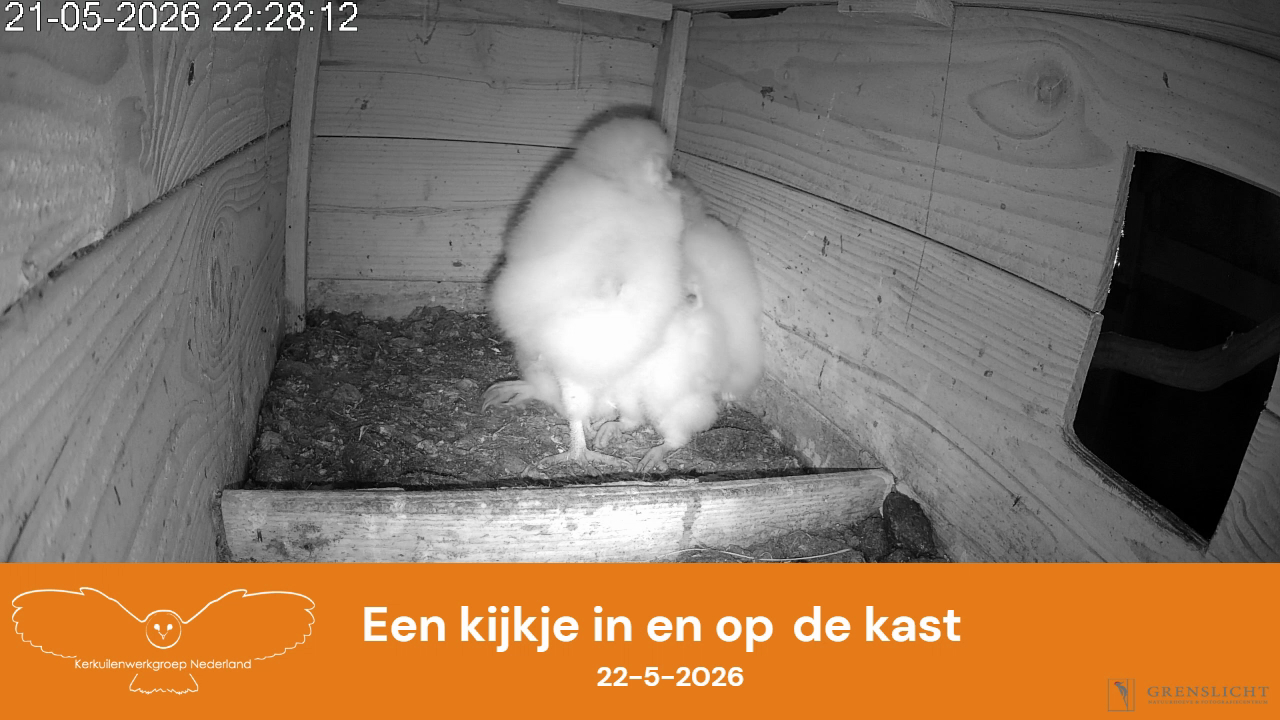 Een kijkje in en op de kast