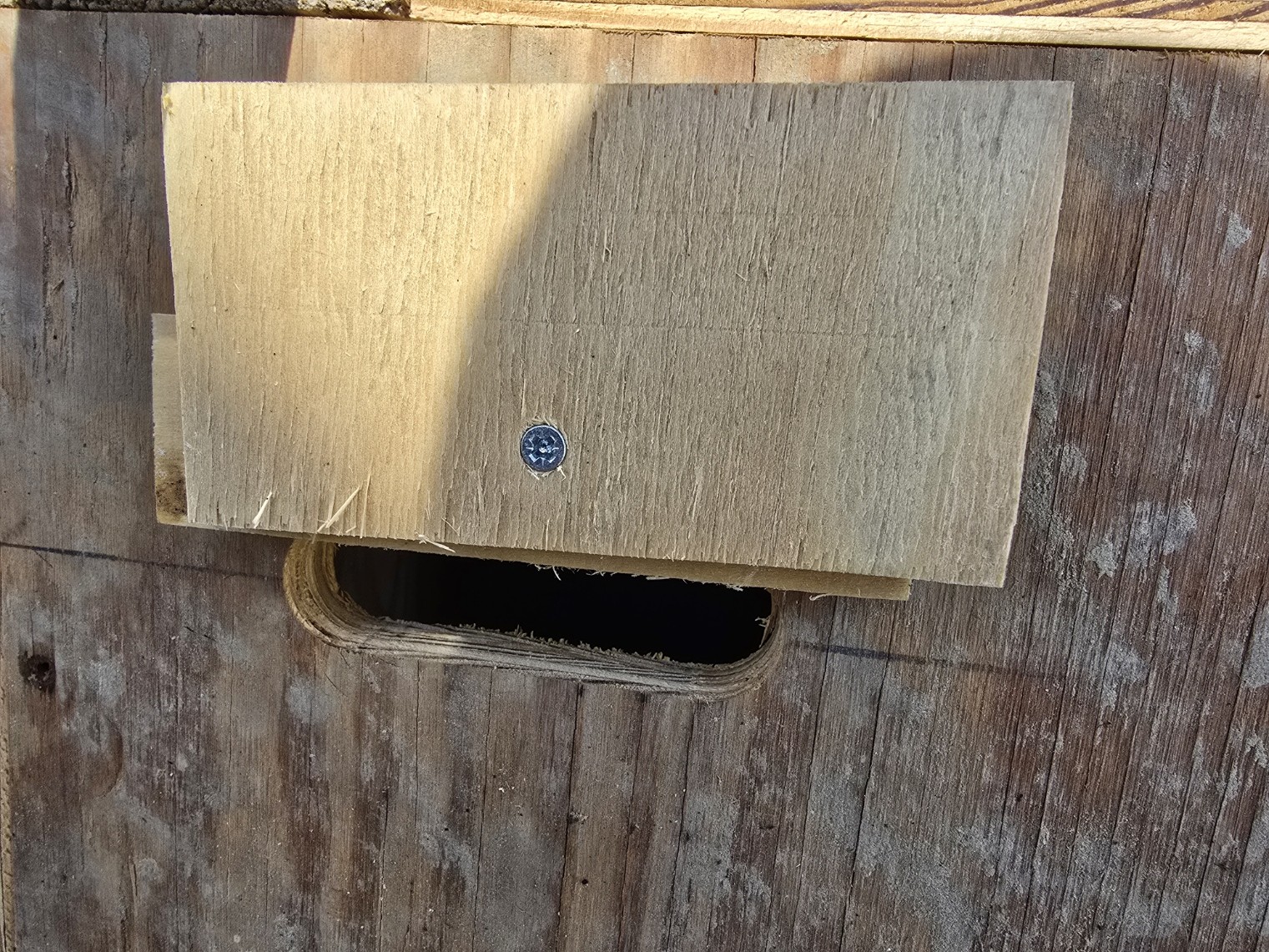 Kerkuilen nestkasten binnen of buiten…