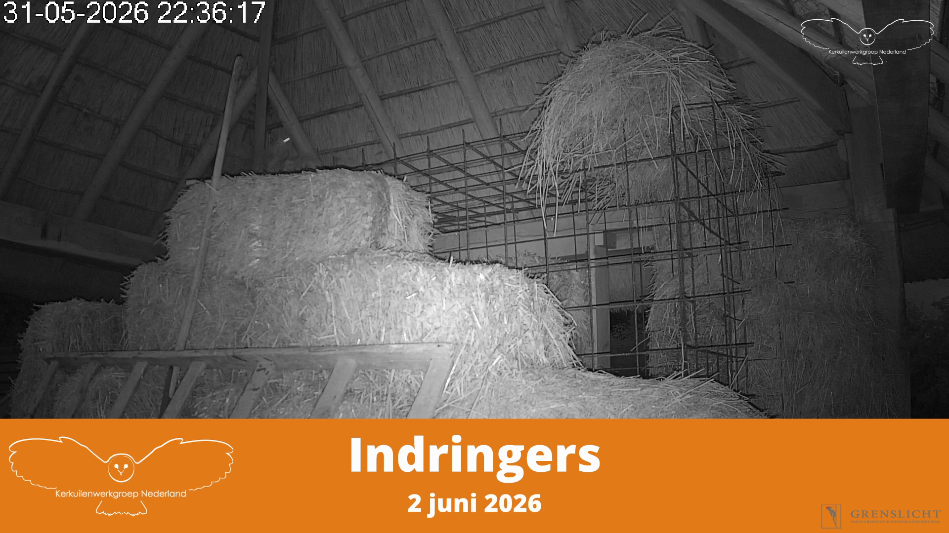 Indringers