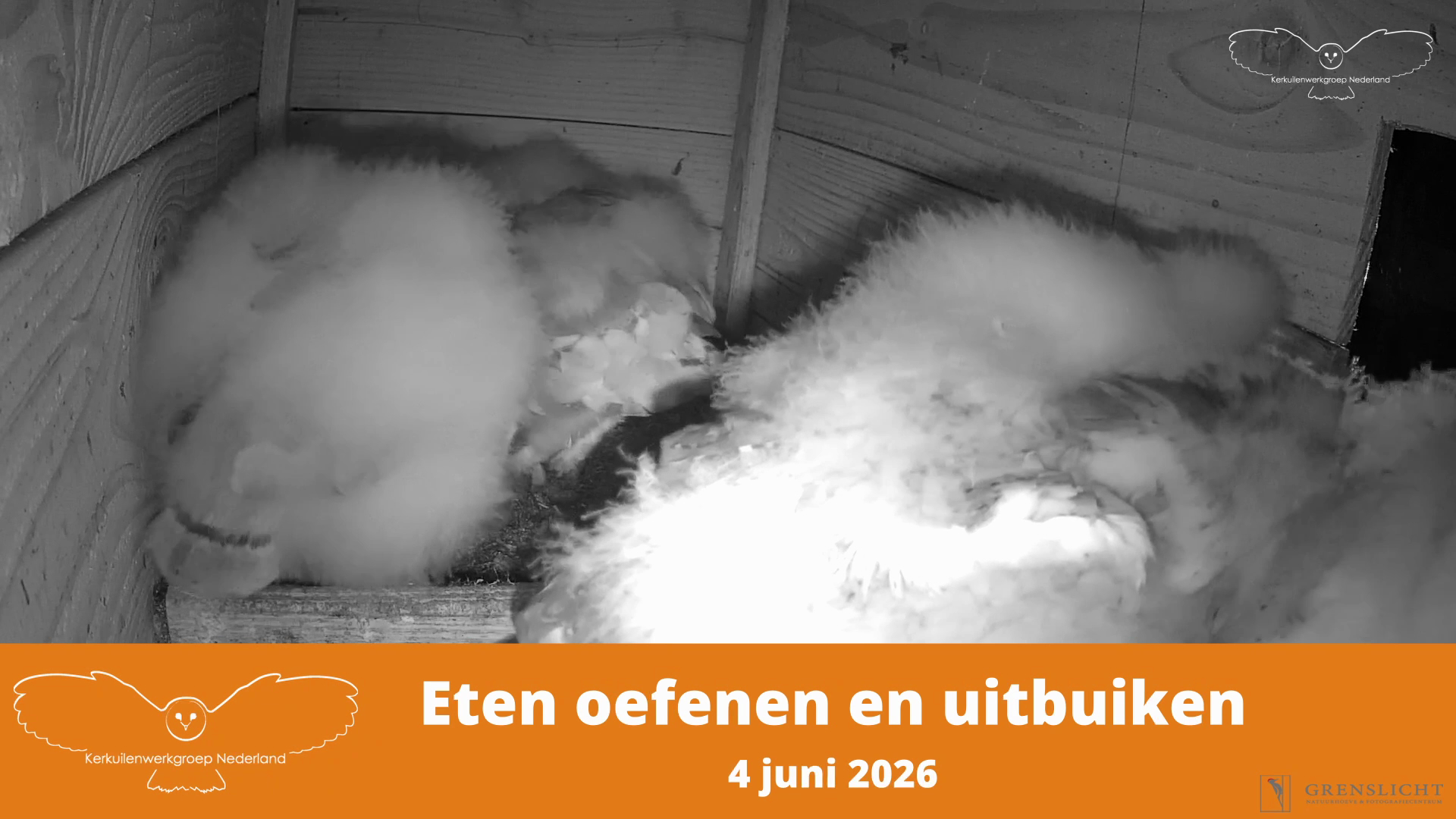 Eten, oefenen en uitbuiken
