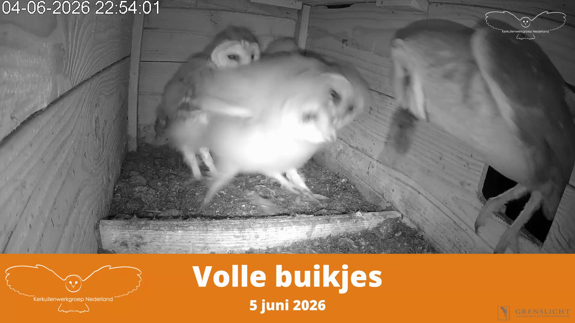 Volle buikjes