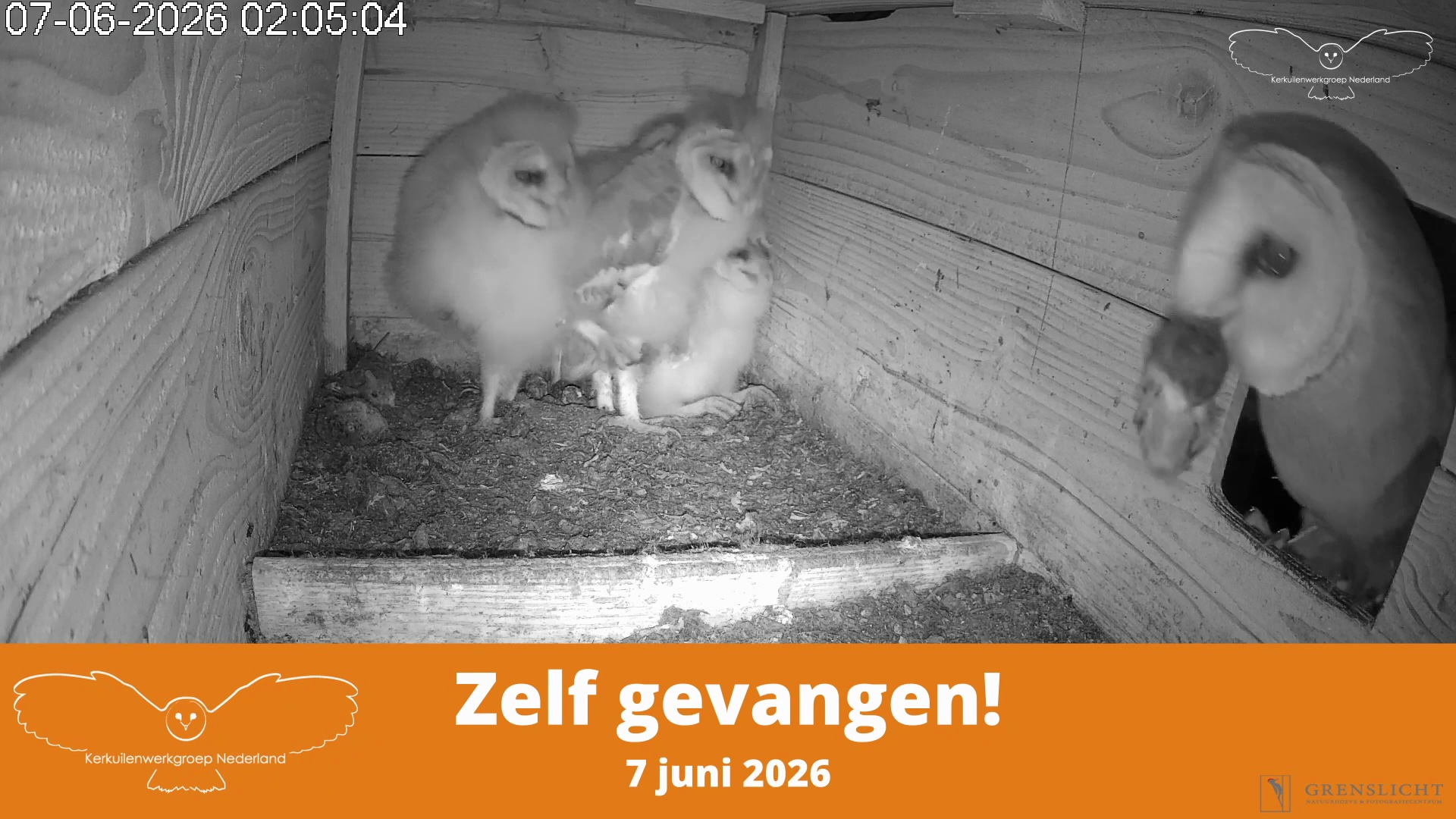Zelf gevangen