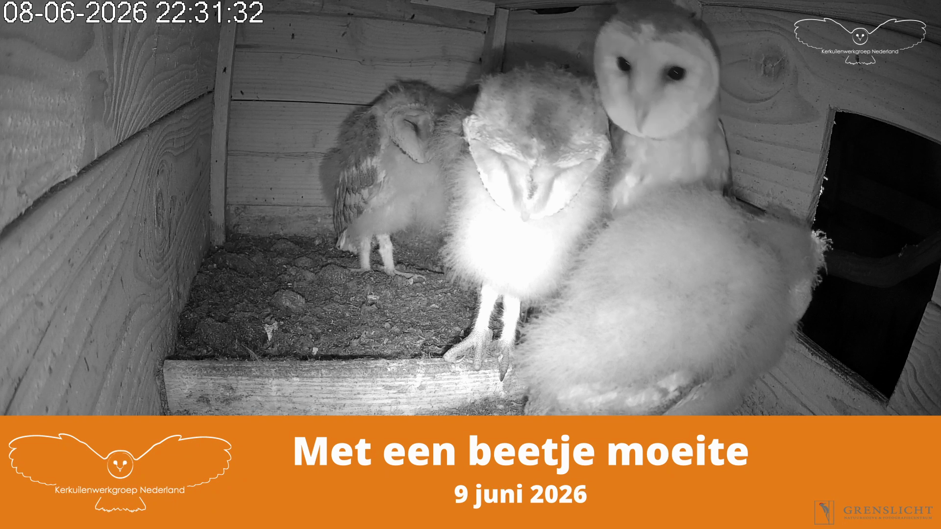 Met een beetje moeite