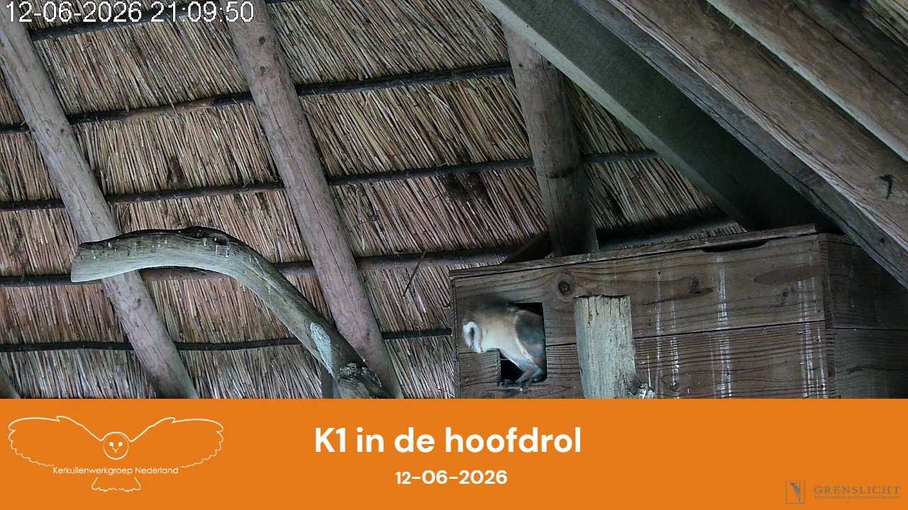 K1 in de hoofdrol