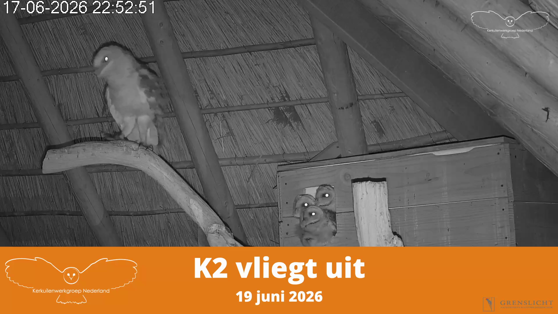 K2 vliegt uit