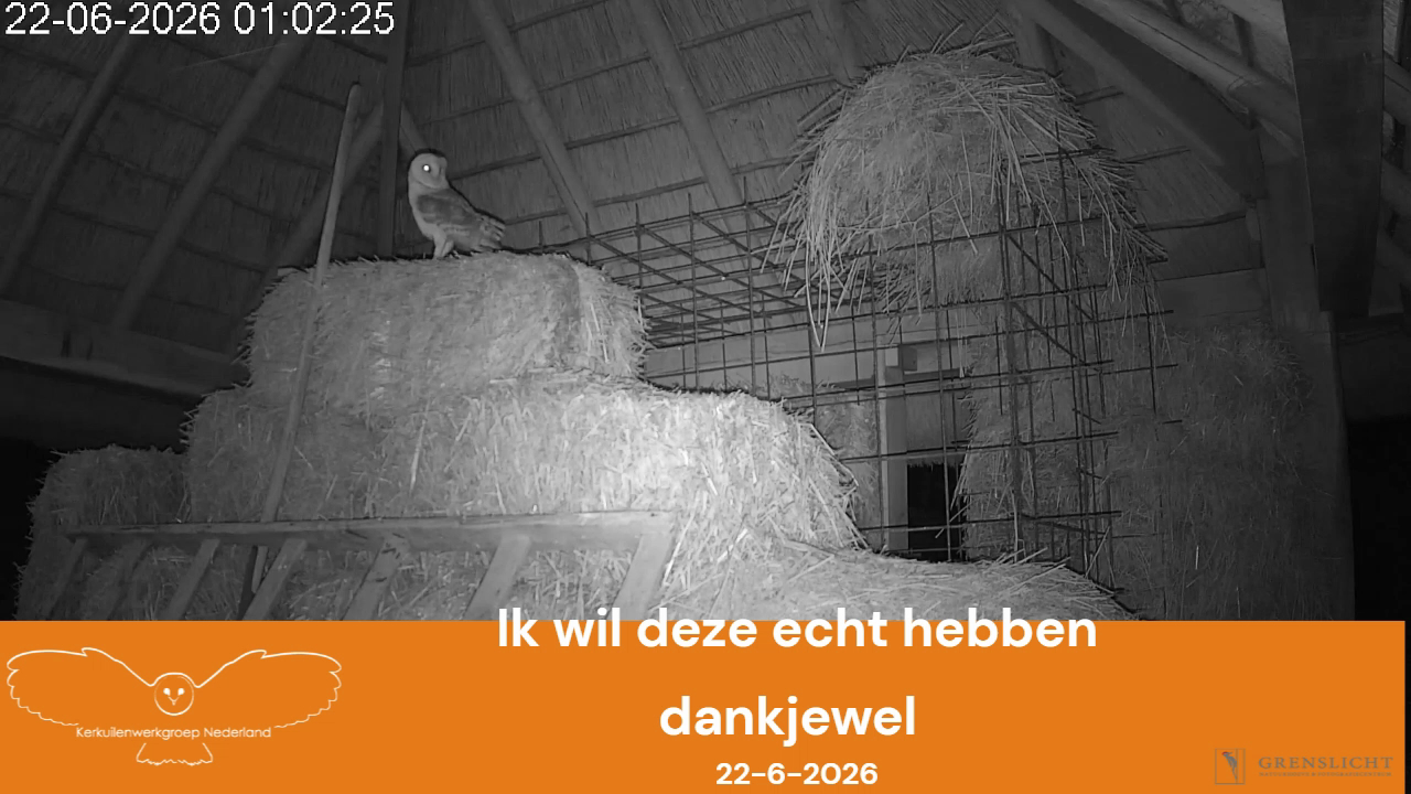 Ik wil deze echt hebben, dankjewel