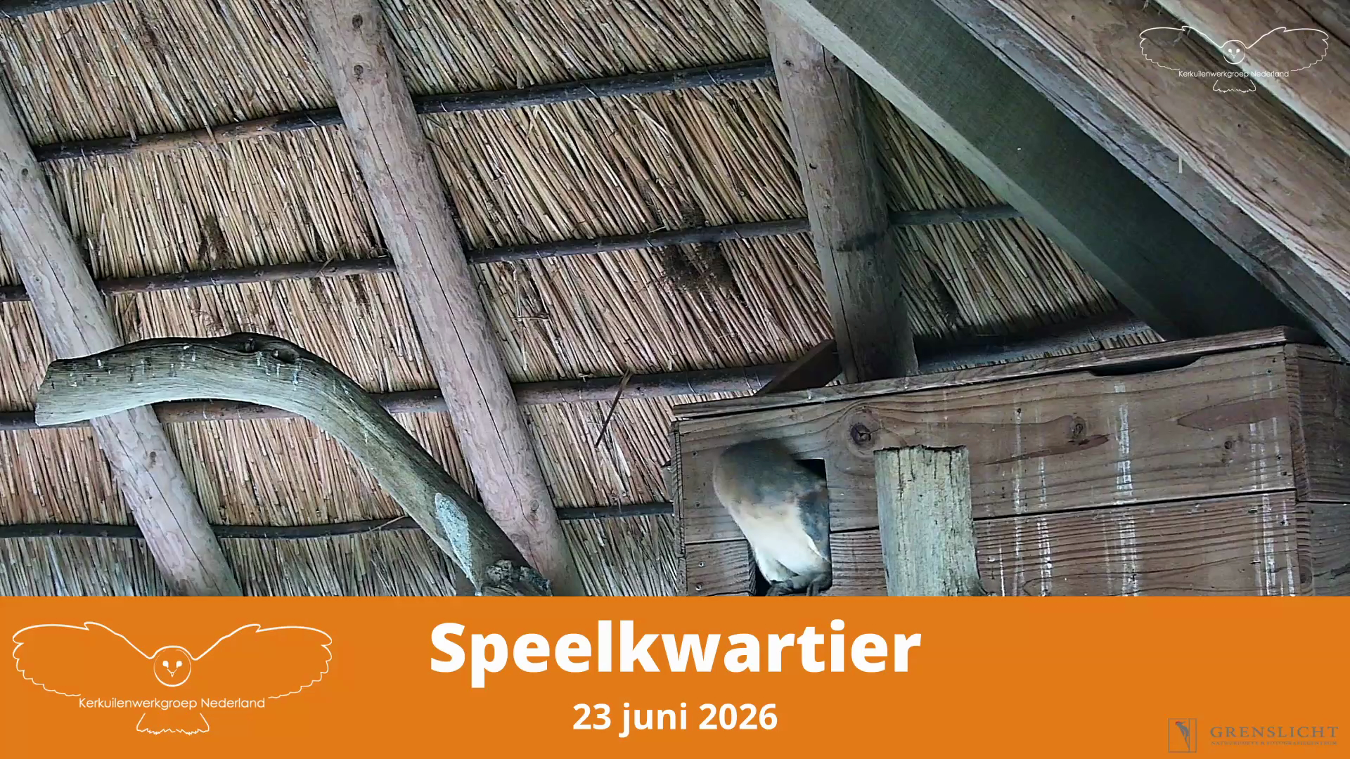 Speelkwartier