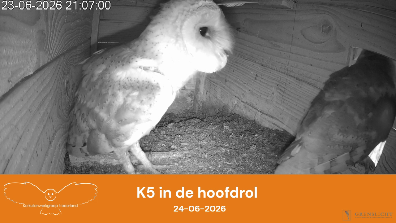 K5 in de hoofdrol